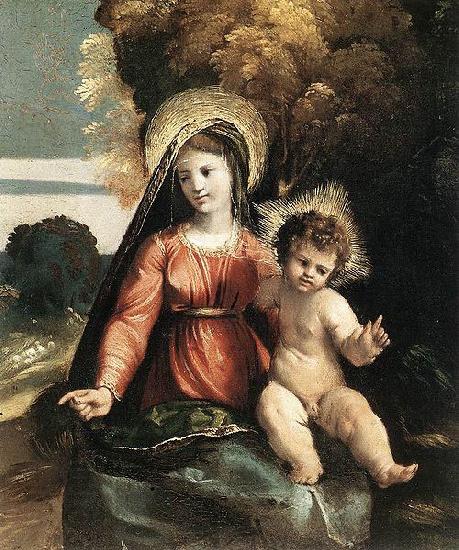 Dosso Dossi Madonna and Child China oil painting art